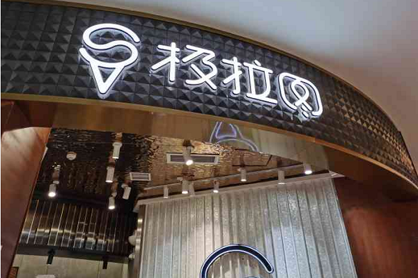 极拉图加盟费
