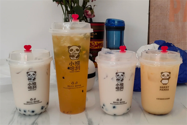 小熊哈利奶茶加盟费多少?小熊哈利奶茶总部在哪里