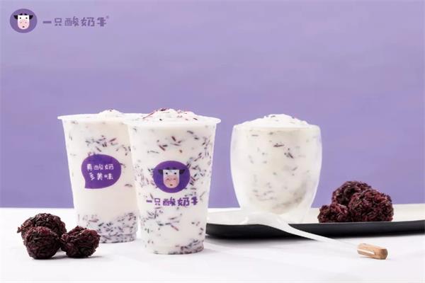 一只酸奶牛官网加盟总部：一只酸奶牛加盟费是多少？