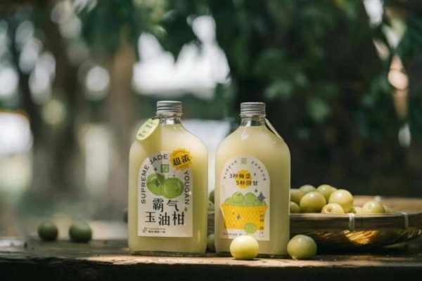 奈雪的茶2025年加盟政策,奈雪的茶加盟官方网,奈雪的茶官网,奈雪的茶有多少家门店