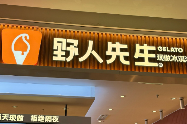 野人先生加盟费明细