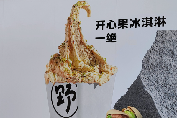 野人先生加盟费明细