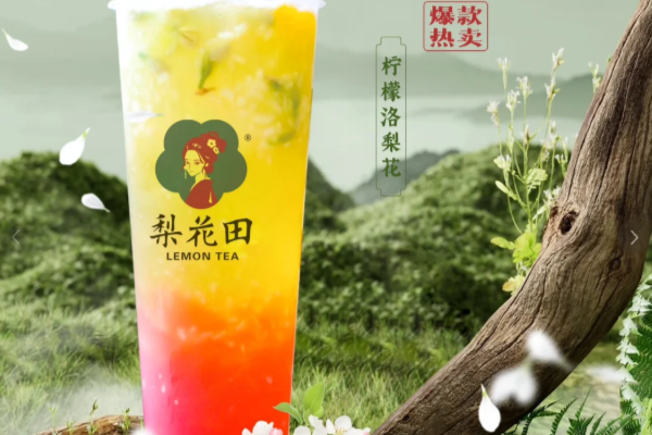 梨花田加盟费用