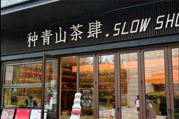 2025(官网最新)种青山茶肆加盟费明细表：种青山茶肆加盟官网热线电话