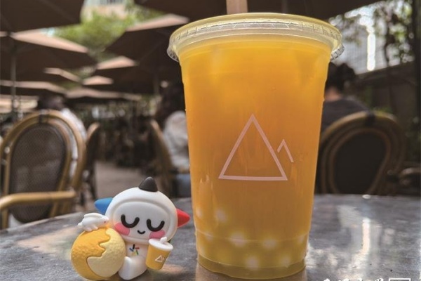 去茶山加盟官网,去茶山加盟费大概多少钱,去茶山加盟电话,去茶山加盟费,去茶山加盟费要多少钱,去茶山加盟费明细表,去茶山加盟条件