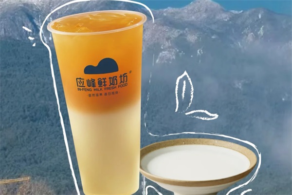 应峰鲜奶坊加盟总部电话：2025应峰鲜奶坊加盟费明细表最新