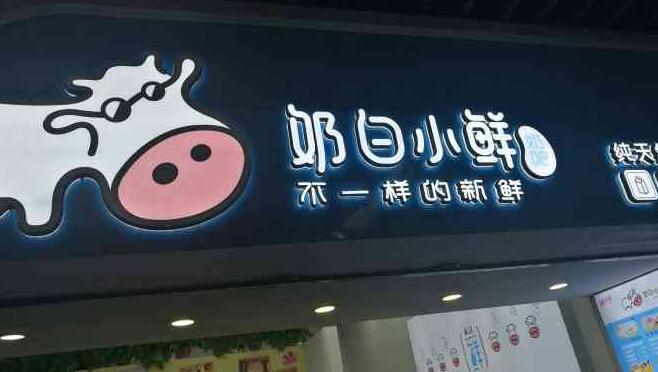 开个奶白小鲜奶吧赚钱吗？奶白小鲜加盟条件有哪些？
