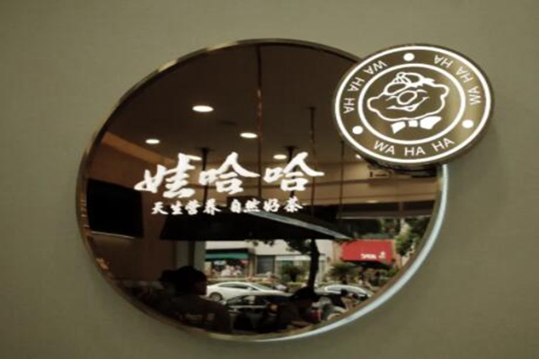 娃哈哈奶茶为什么这么火？娃哈哈奶茶加盟开店怎么样