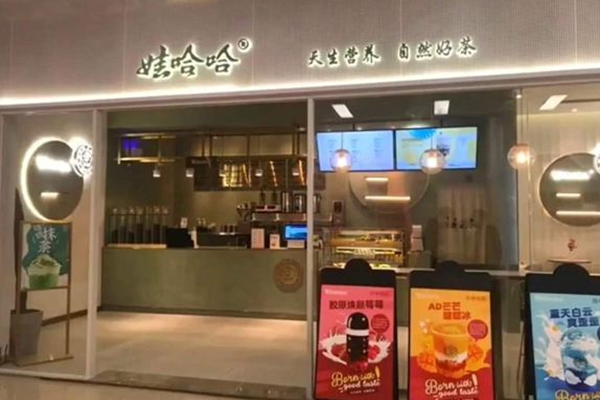 娃哈哈奶茶怎么加盟？娃哈哈奶茶加盟开店流程