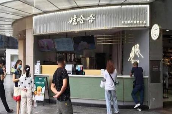 娃哈哈奶茶开店有前景吗？娃哈哈奶茶怎么加盟