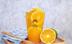 加减奶茶加盟需要多少钱？回本快吗？