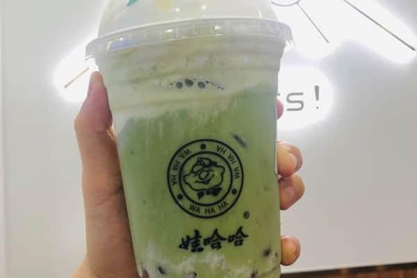 娃哈哈奶茶怎么加盟?有什么入门要求?加盟费多少钱？