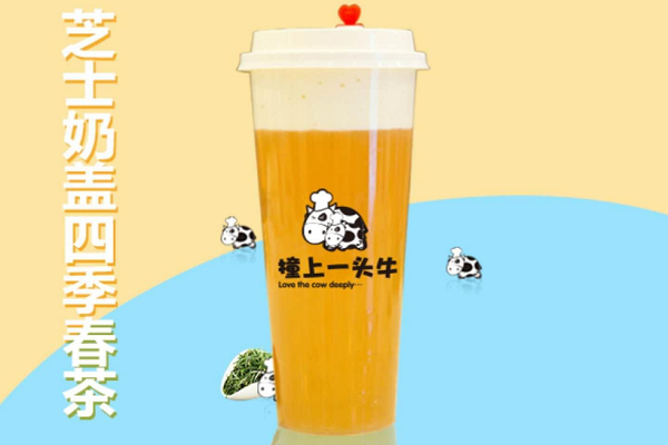 撞上一头牛奶茶加盟费多少钱,撞上一头牛奶茶加盟官网