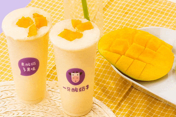 一只酸奶牛加盟费是多少?低成本开店具体加盟费用流程