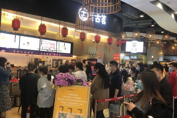怎么分辨真假古茗？总部扶持多久能回本？