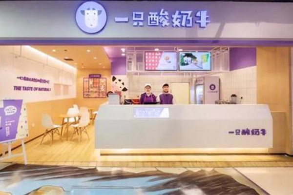 一只酸牛奶加盟店怎样盈利？加盟开店多久能回本赚钱？