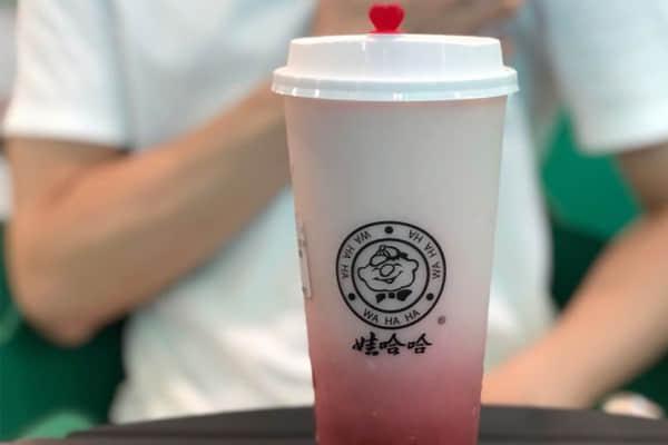 娃哈哈奶茶创业费用大约多少钱？费用会受到哪些影响?