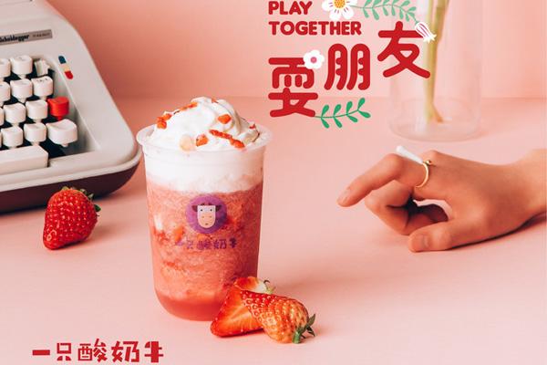 一只酸奶牛门店怎么代理开店？做这个项目需要哪些条件？