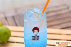 加减奶茶总部在哪里 加盟费需要多少钱