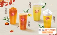 县城开一家蜜雪冰城奶茶店，每年需要交纳多少品牌使用费