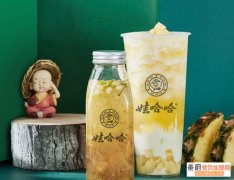 娃哈哈奶茶加盟经营理念,娃哈哈奶茶总部地址公布