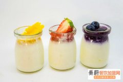 一只酸奶牛加盟费多少钱？赚钱吗？