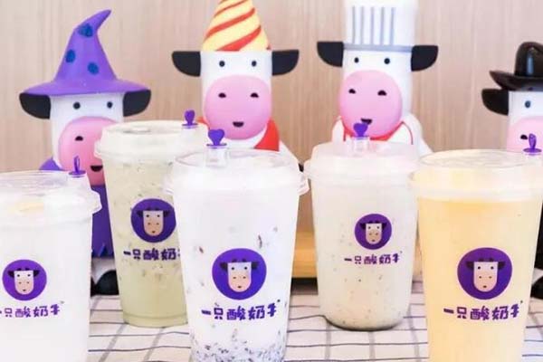 一只酸奶牛加盟总部怎么样保证代理商利益?