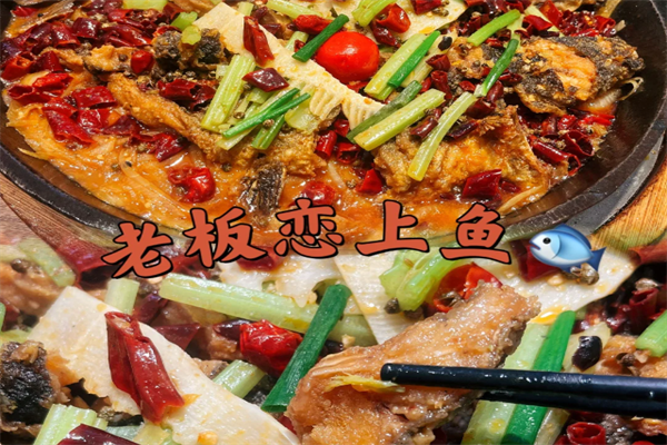 老板恋上鱼是哪里的品牌，加盟费需要多少?