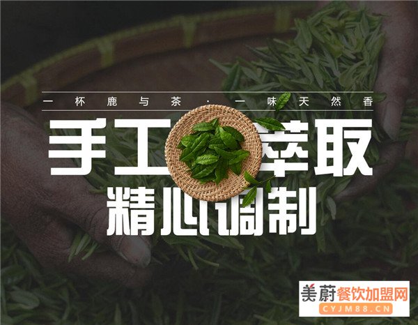 鹿与茶奶茶加盟费