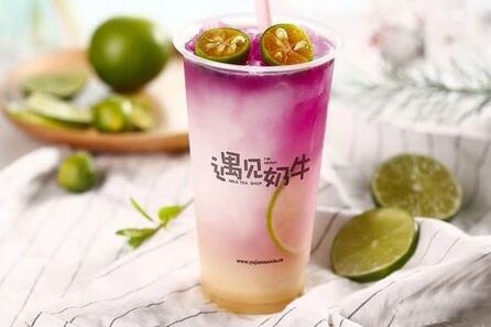 遇见奶牛加盟费多少钱？多少钱可以开起来？