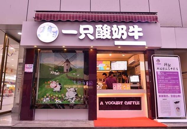 一只酸奶牛加盟店怎么样？品牌口碑过硬盈利也令人满意！