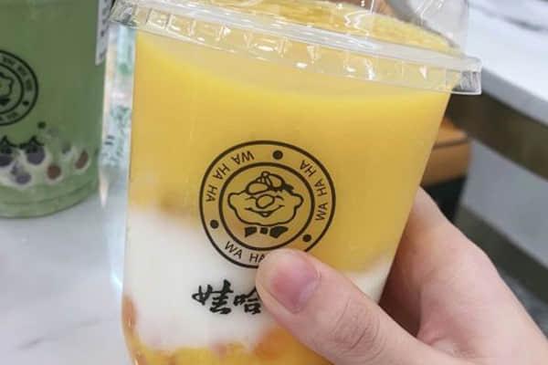 娃哈哈奶茶店加盟电话是多少?加盟条件与加盟费是哪些?