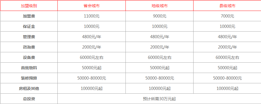 开一家蜜雪冰城一共需要多少钱？费用明细公布，省会46000元！