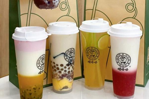 娃哈哈奶茶加盟
